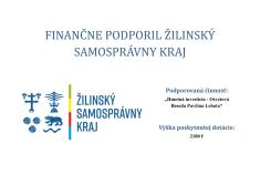 Projekt